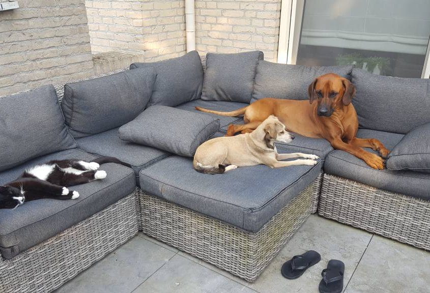 Buiten op de bank