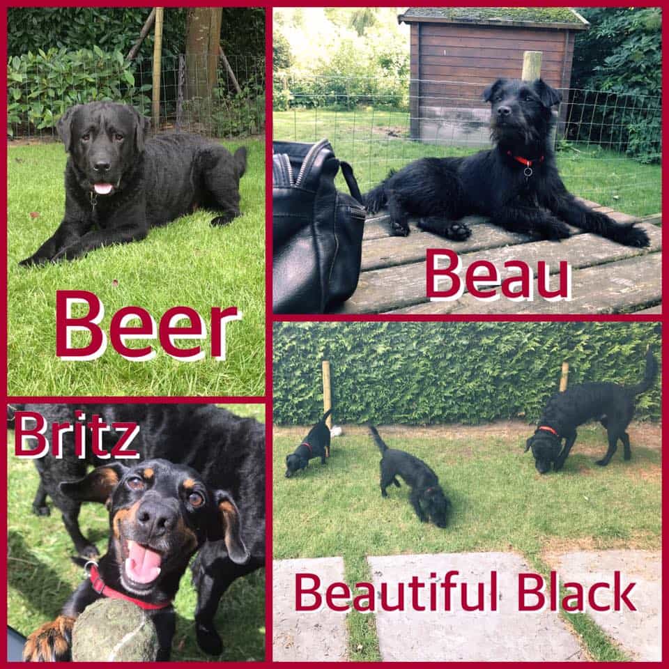 Beer, Beau, Britz, Beautiful Black