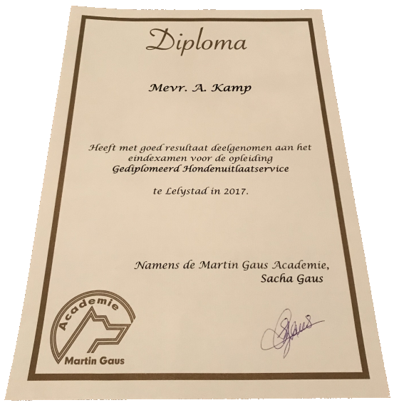 Diploma