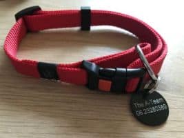 Halsband klein