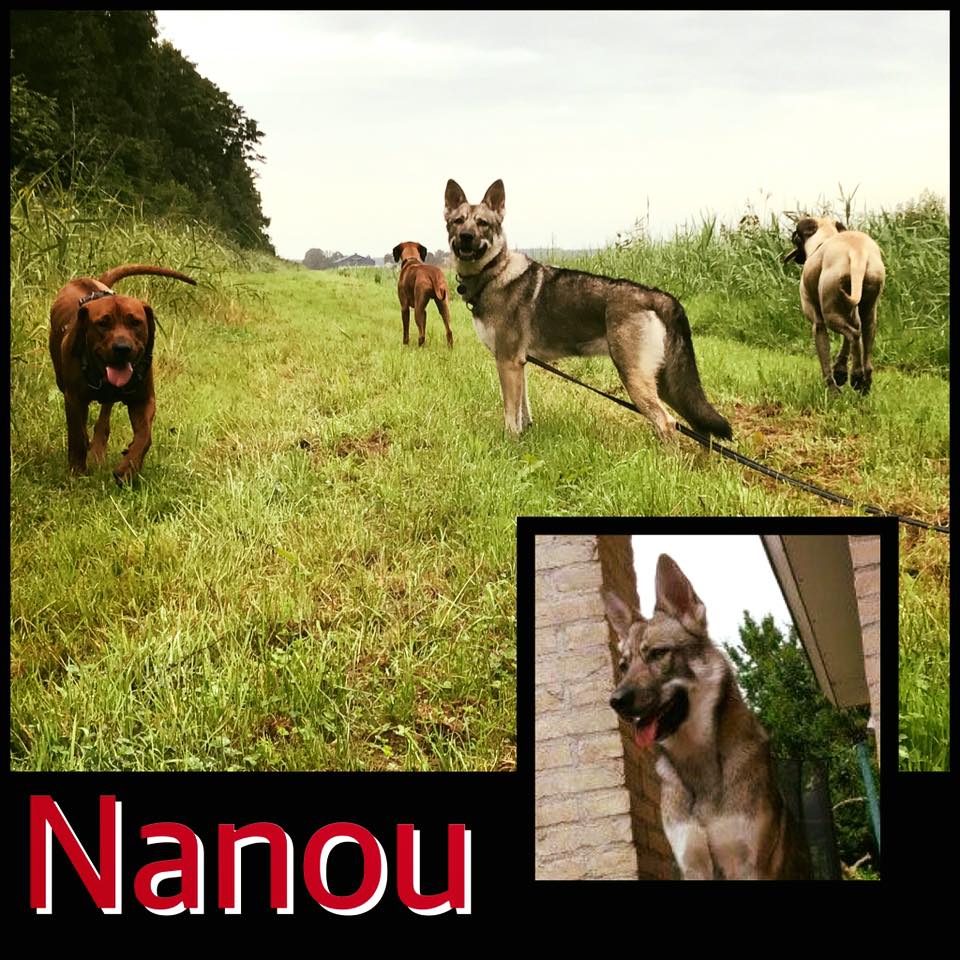 Nanou bij The A-Team