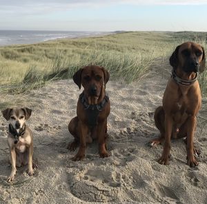 The A-Team