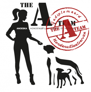 The A-Team Logo
